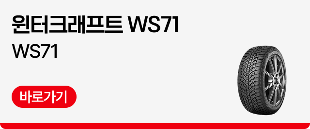 윈터크래프트 WS71