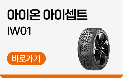 아이온 아이셉트 (IW01)