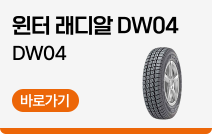윈터 래디알 DW04