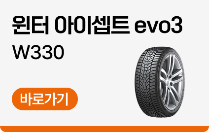 윈터 아이셉트 evo 3 (W330)